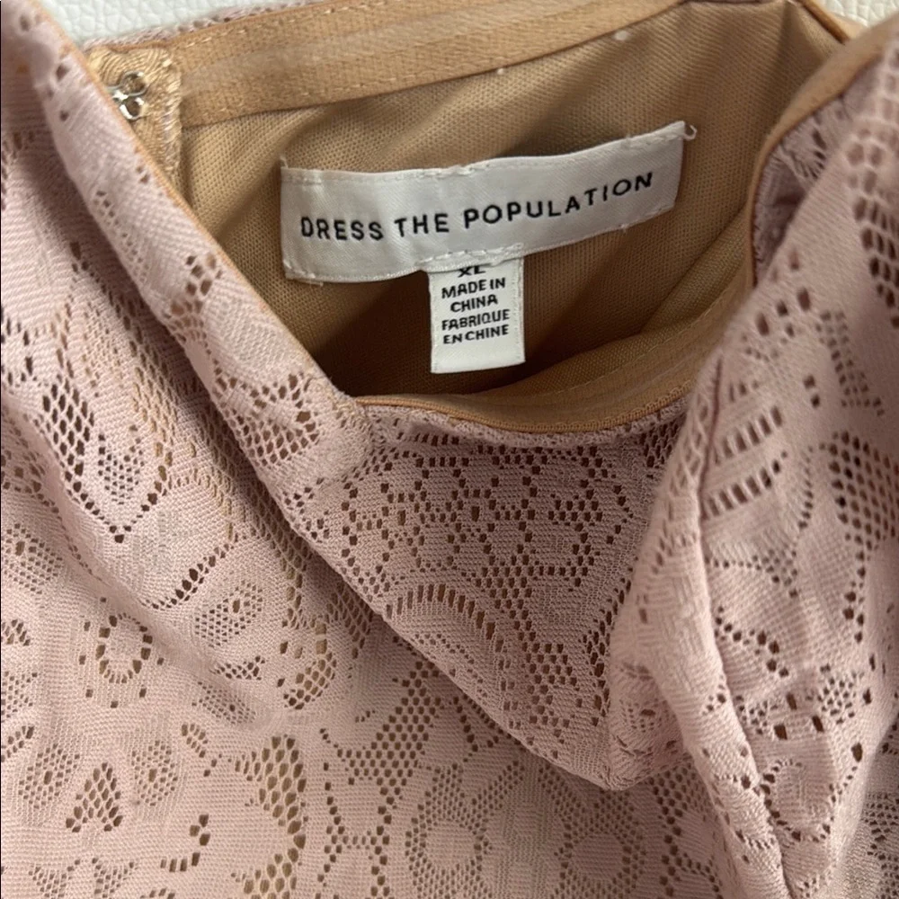 Dress The Population Elegant Pink Lace Dress
